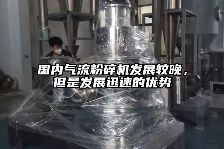 國(guó)內(nèi)氣流粉碎機(jī)發(fā)展較晚，但是發(fā)展迅速的優(yōu)勢(shì)