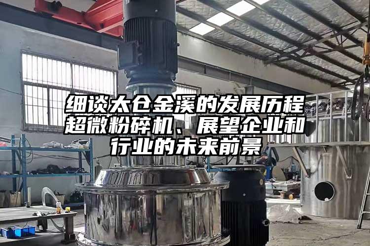 細談太倉金溪的發(fā)展歷程超微粉碎機、展望企業(yè)和行業(yè)的未來前景